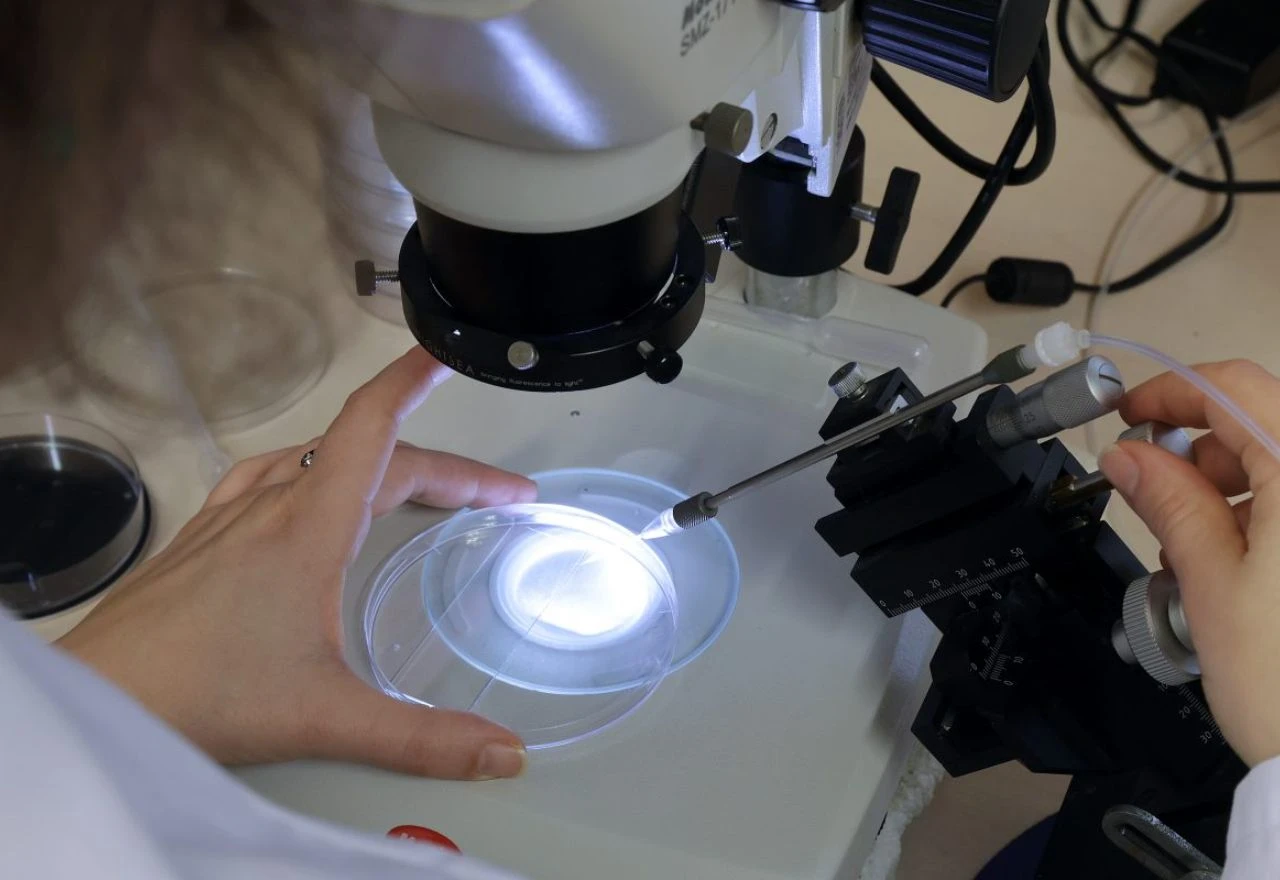Veliko otkriće o melanomu: Znanstvenici otkrili što pokreće stvaranje metastaza