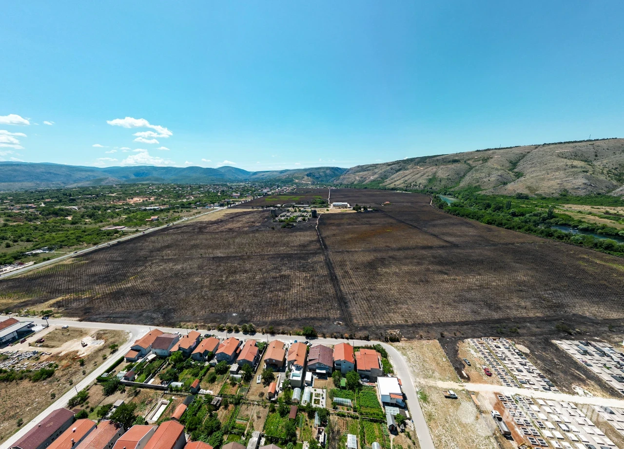 Opožareni vinogradi na Buni