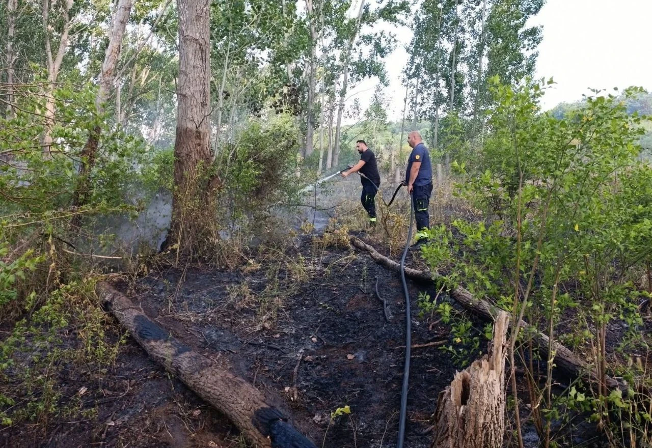 Devet vatrogasaca gasilo požar u Biogracima