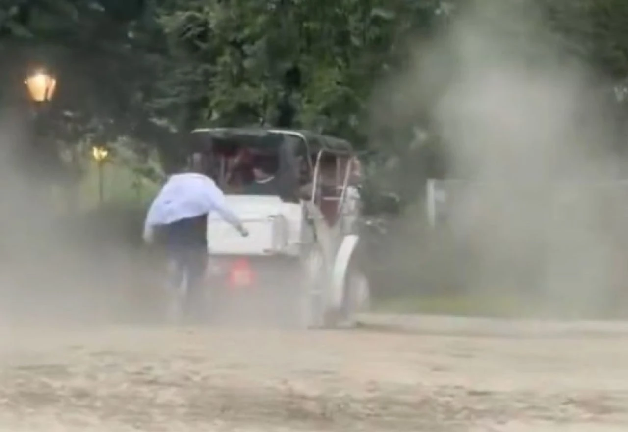 VIDEO | Tragedija u parku: Konj se oteo kontroli, mladić ispao iz kočije i poginuo