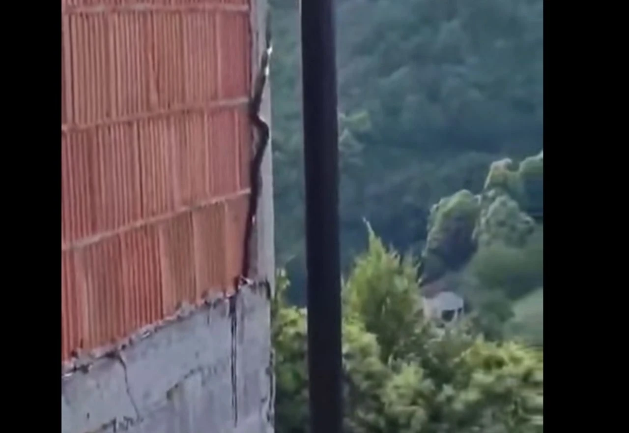 VIDEO | Pogledajte kako se zmija penje uz zid stambene kuće