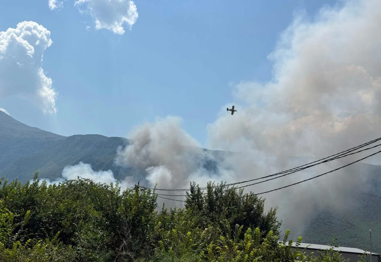 Požar na Uborku: Traži se hitan izlazak inspekcije na teren