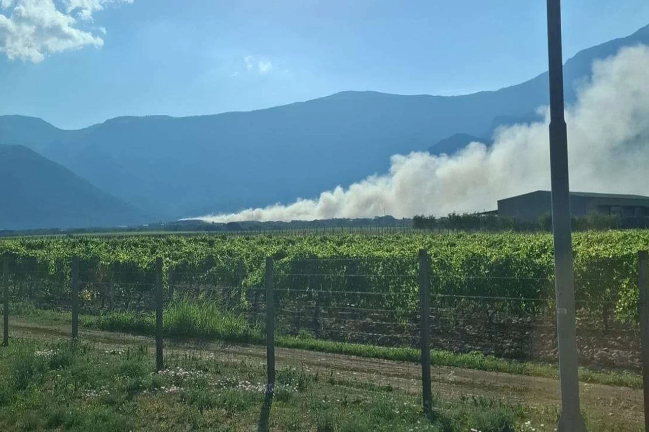 Koalicija "Grade moj": Tko je donio odluku?