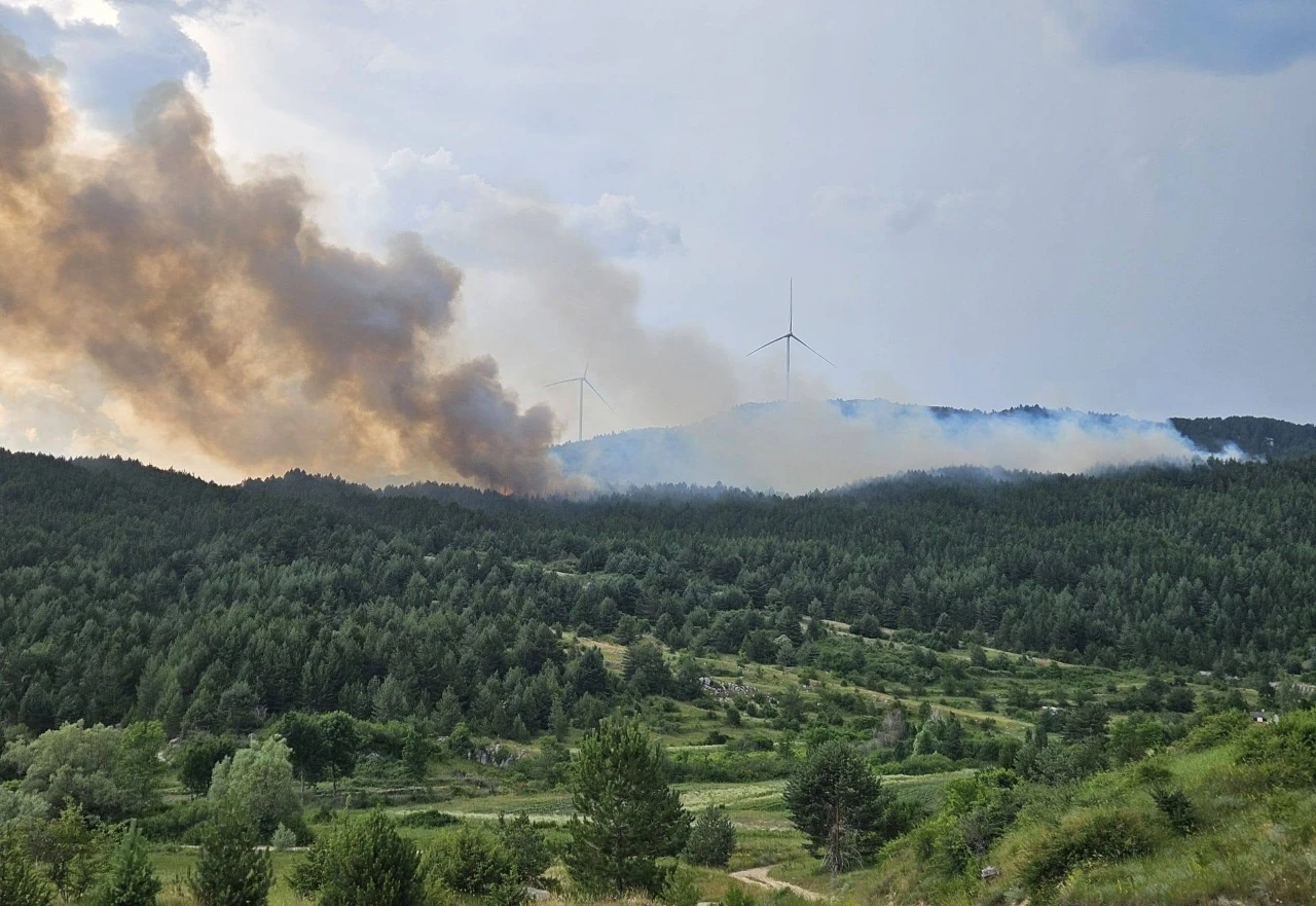 Gori borova šuma kod Posušja, čeka se helikopter OS BiH