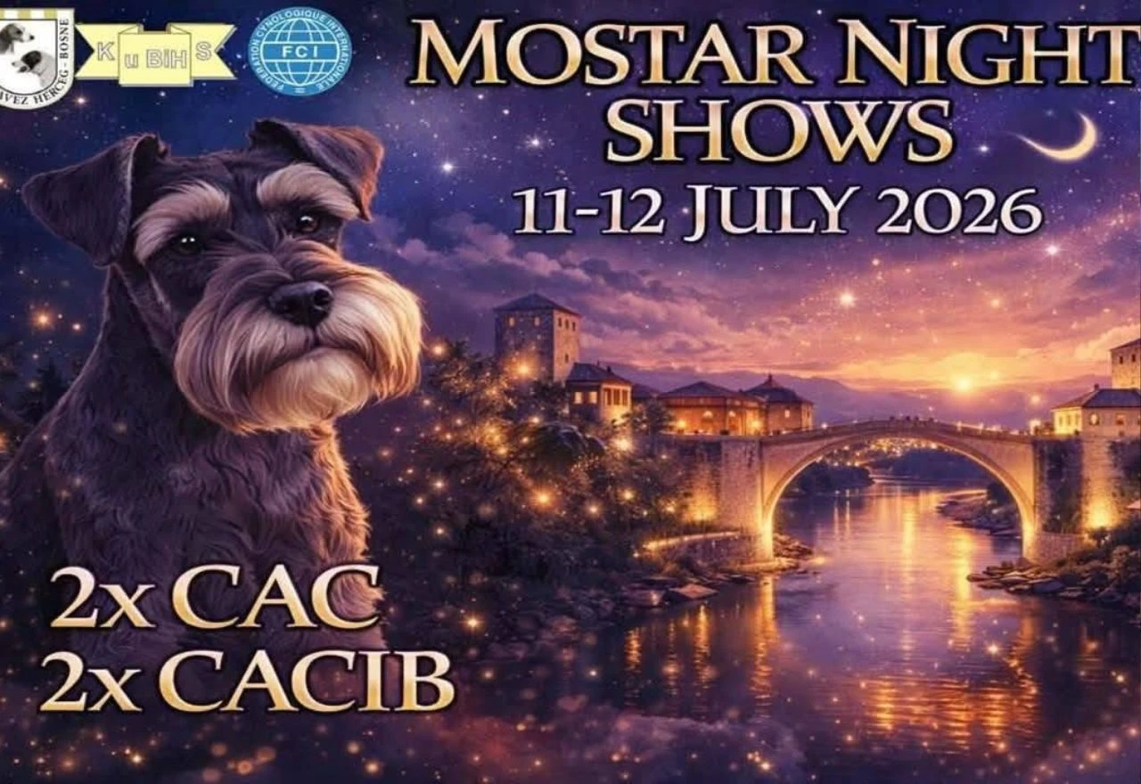 Izložba pasa stiže u Mostar