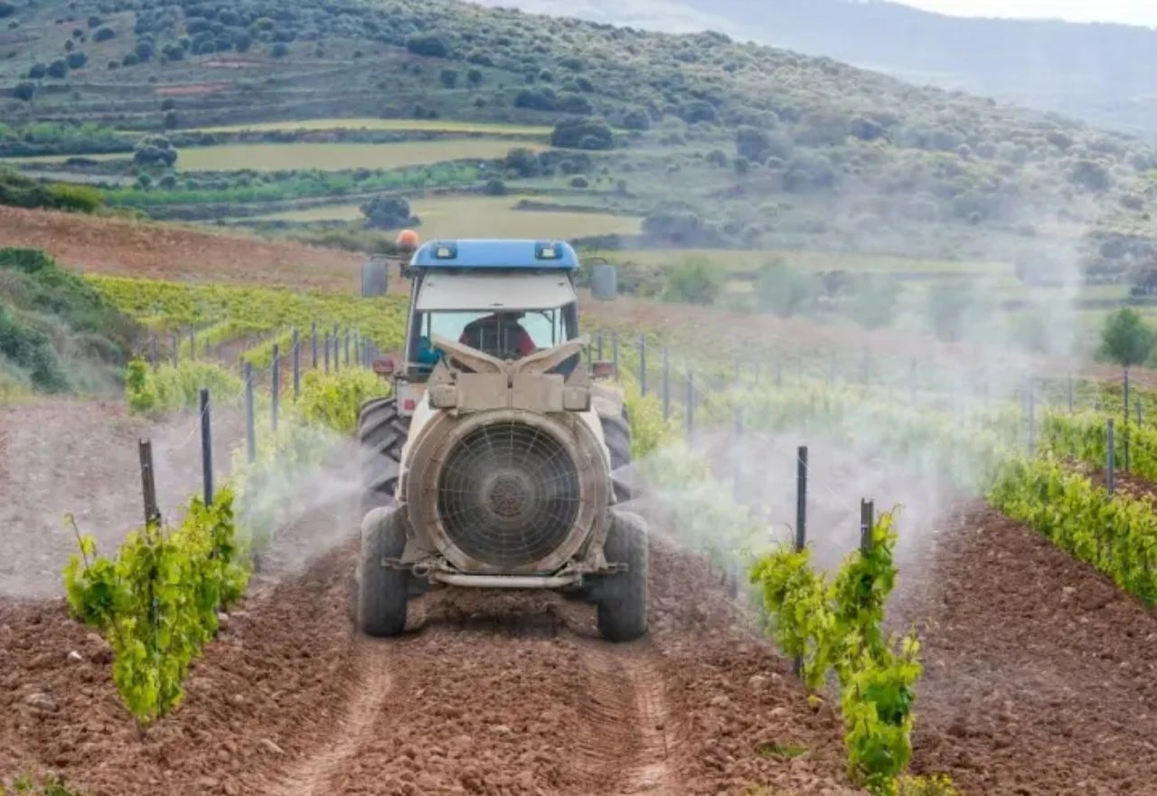 Počinje kritično razdoblje za voćnjake i vinograde: Što preporučuju stručnjaci?
