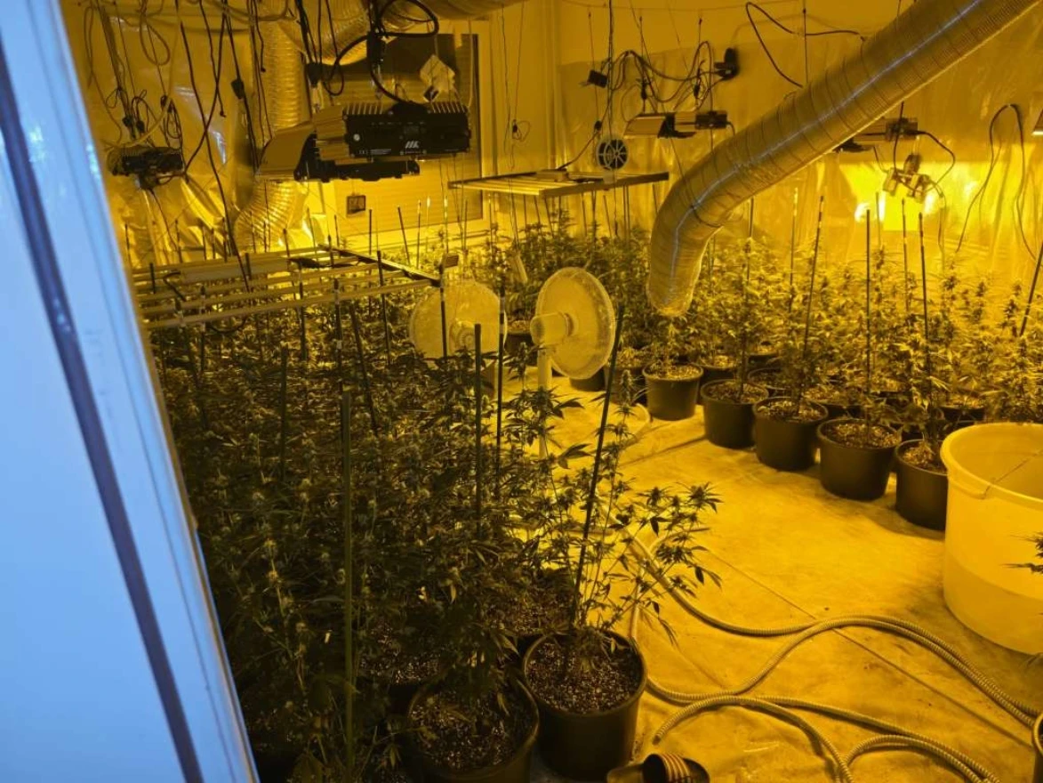 Akcija "Sensei" u Sarajevu: Policija otkrila laboratorije za uzgoj marihuane