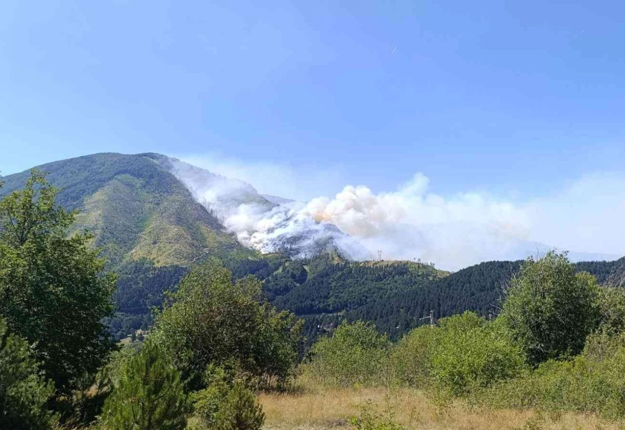 VIDEO | Požar na Rujištu