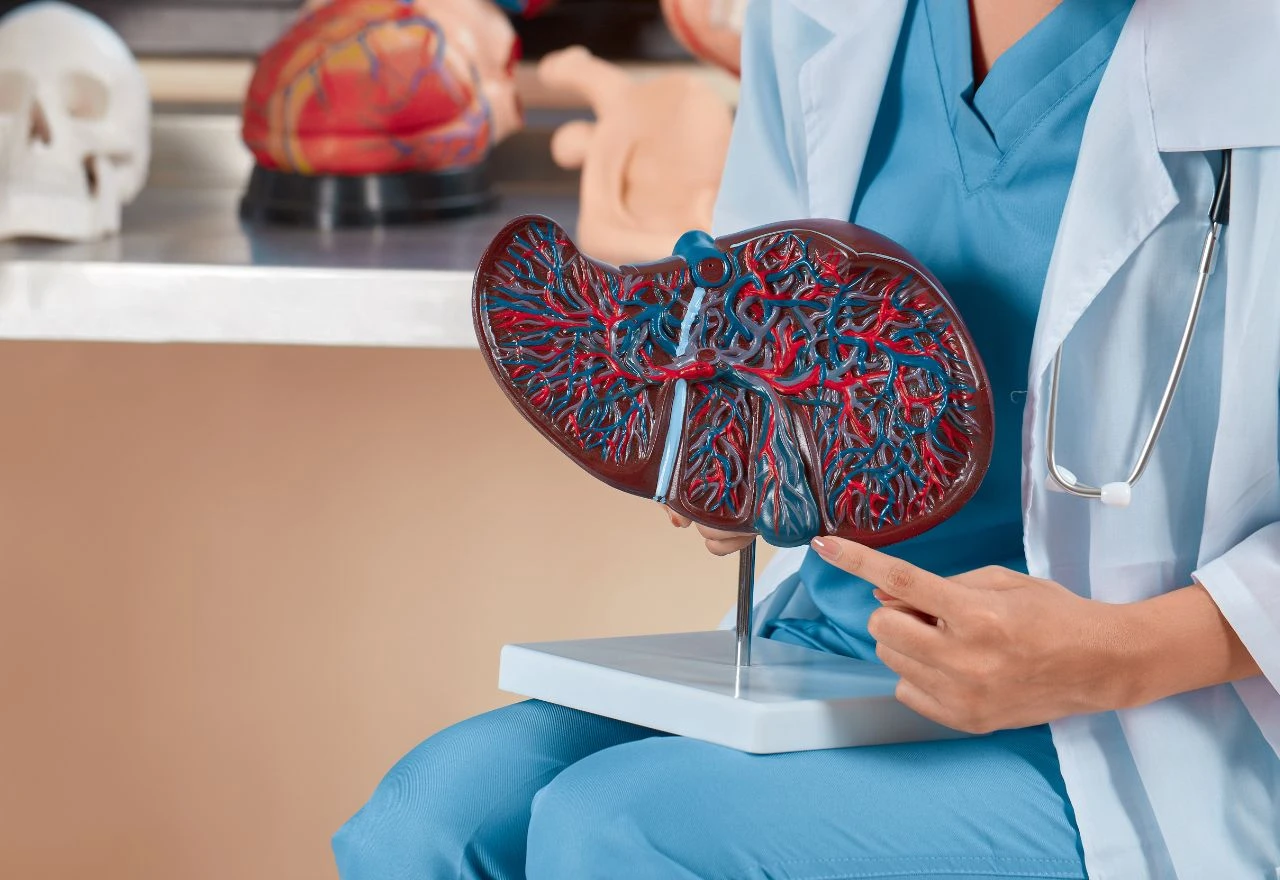Ako imate masnu jetru, izbjegavajte ove vrste hrane, savjetuje hepatolog