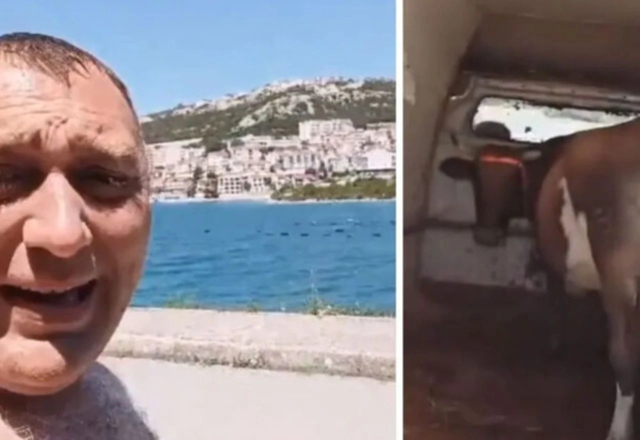 VIDEO | Nije imao kome ostaviti kravu pa je poveo na kupanje u Neum