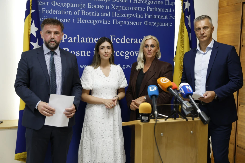 DF-u se ne sviđaju imena za Ustavni sud