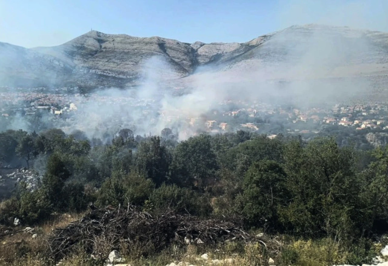 Lokaliziran šumski požar kod Trebinja