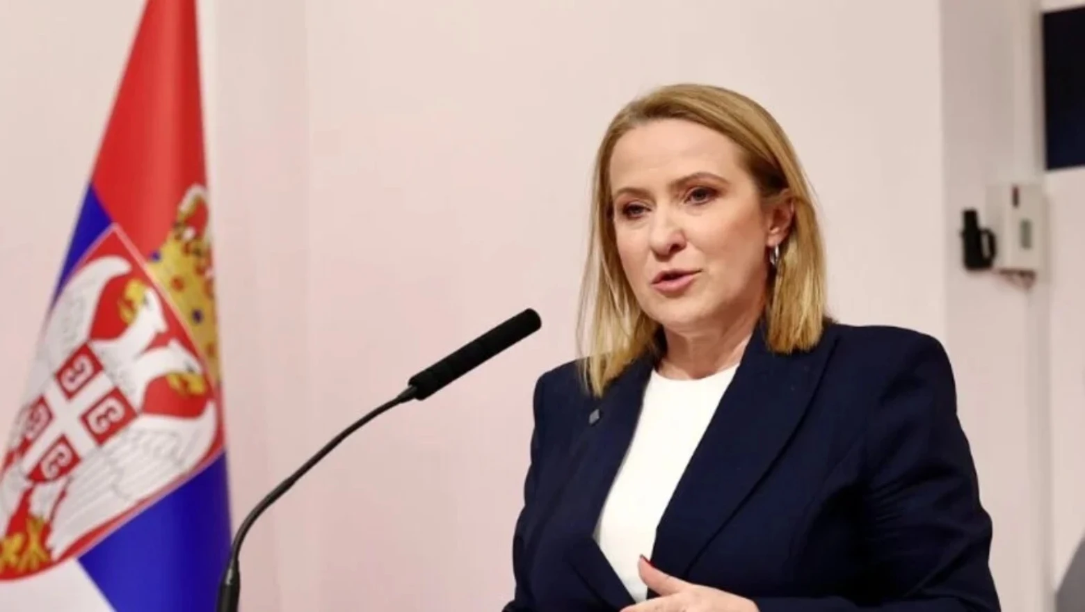 Srpska ministrica rekla da bi etnički očistila Kosovo, sada ne može u državu