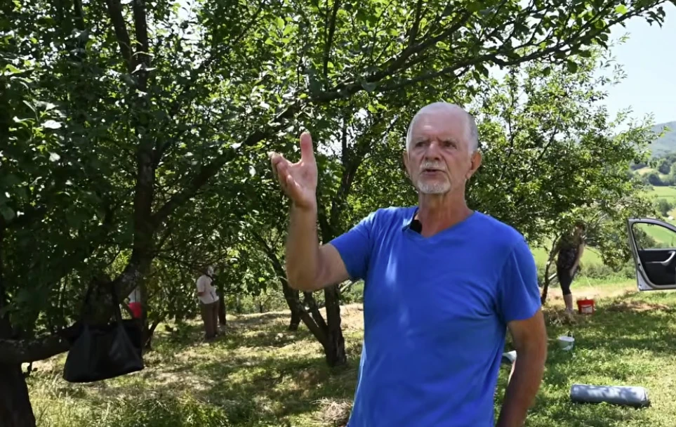 Čudni kupci: Tražili da izvadi košpicu iz višnje!