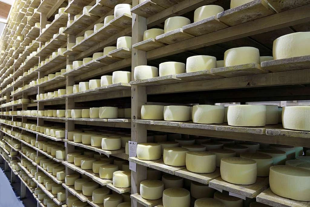Livanjski sir osvaja svijet: Godišnje proizvedu 1,2 milijuna kilograma