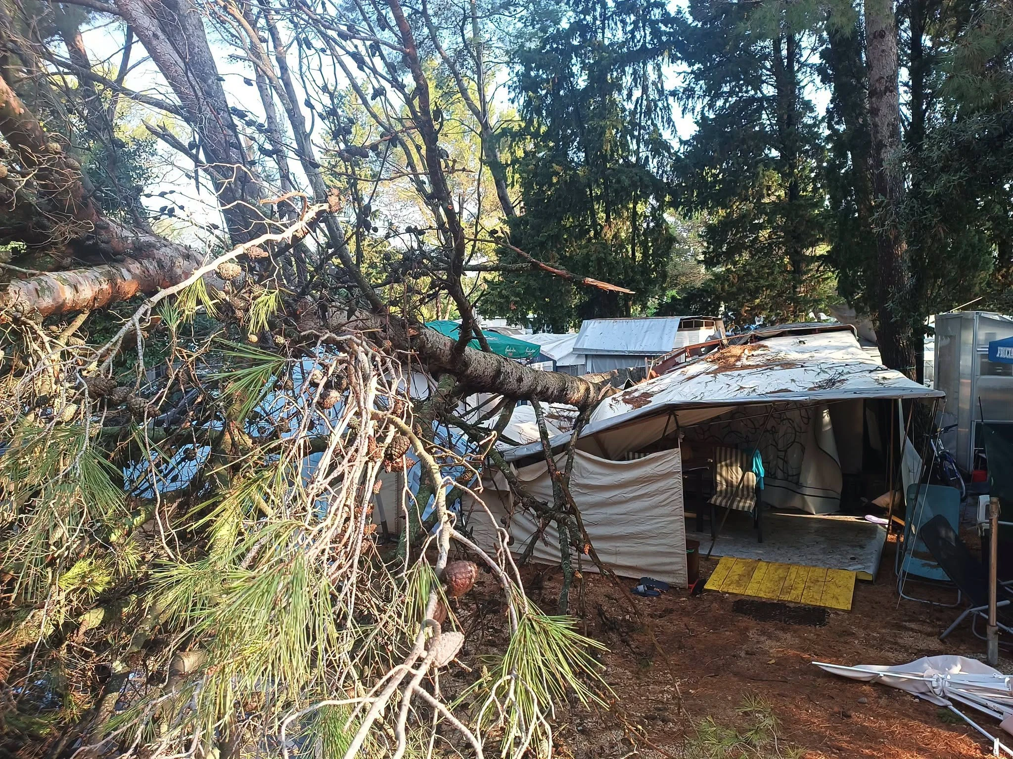 Pijavica poharala kampove na Lošinju