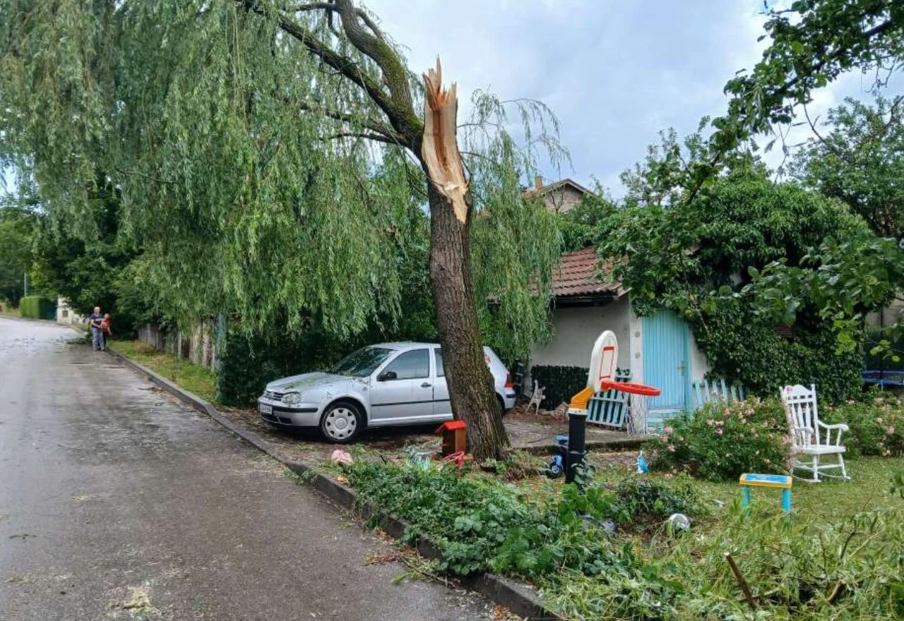 Olujni vjetar pogodio Tomislavgrad, stabla pala na kuće