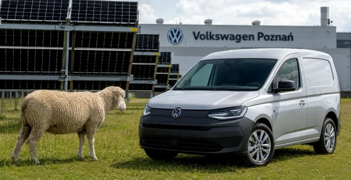 Novi zaposlenici Volkswagena imaju četiri noge i vunu