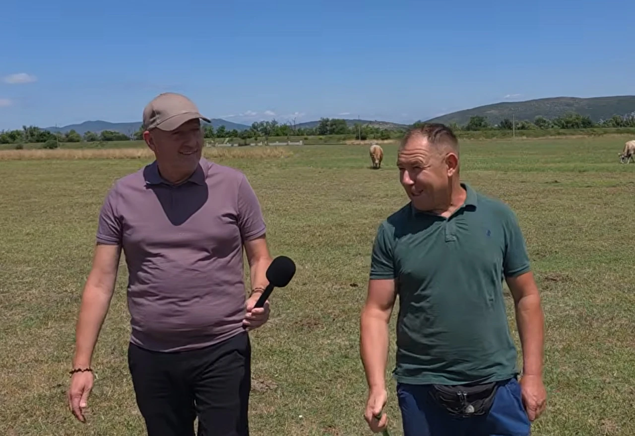 Dado se vratio iz Libije u Hercegovinu bez ijednog grla, danas mu stada broje stotine