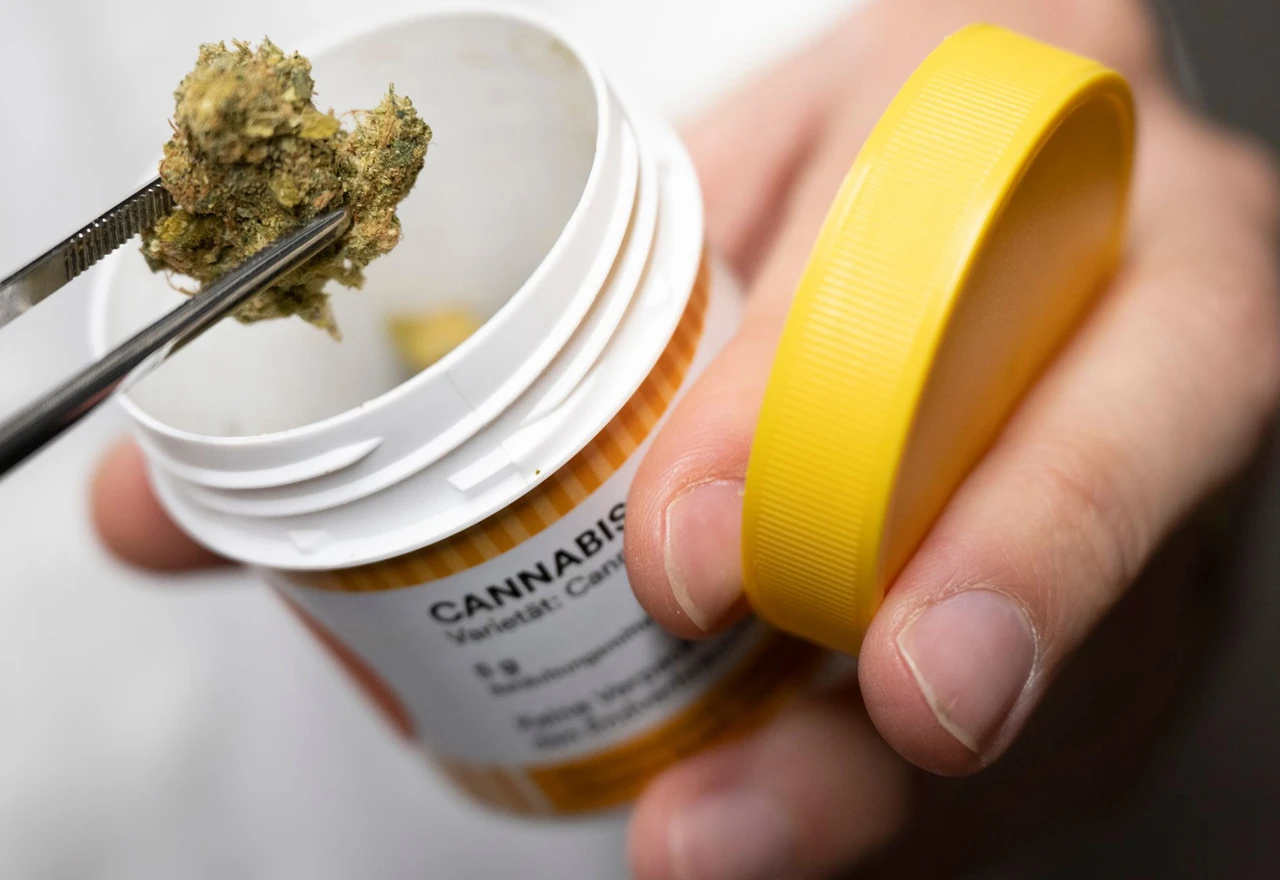 "Dječje bolesti" legalizacije kanabisa
