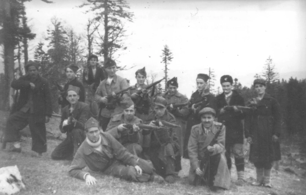 Dan ustanka naroda Bosne i Hercegovine bio je važan praznik u socijalizmu