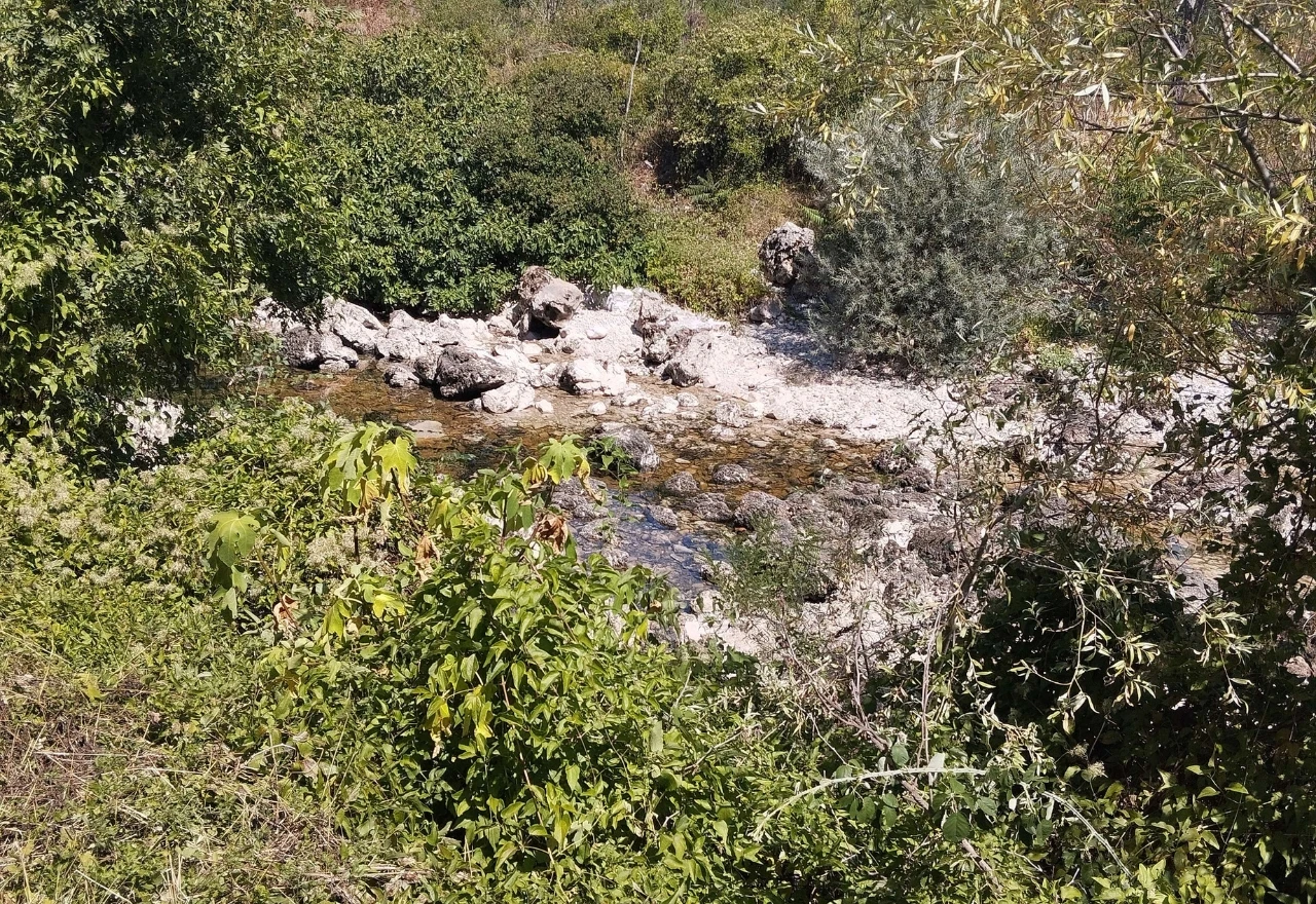 Lištica