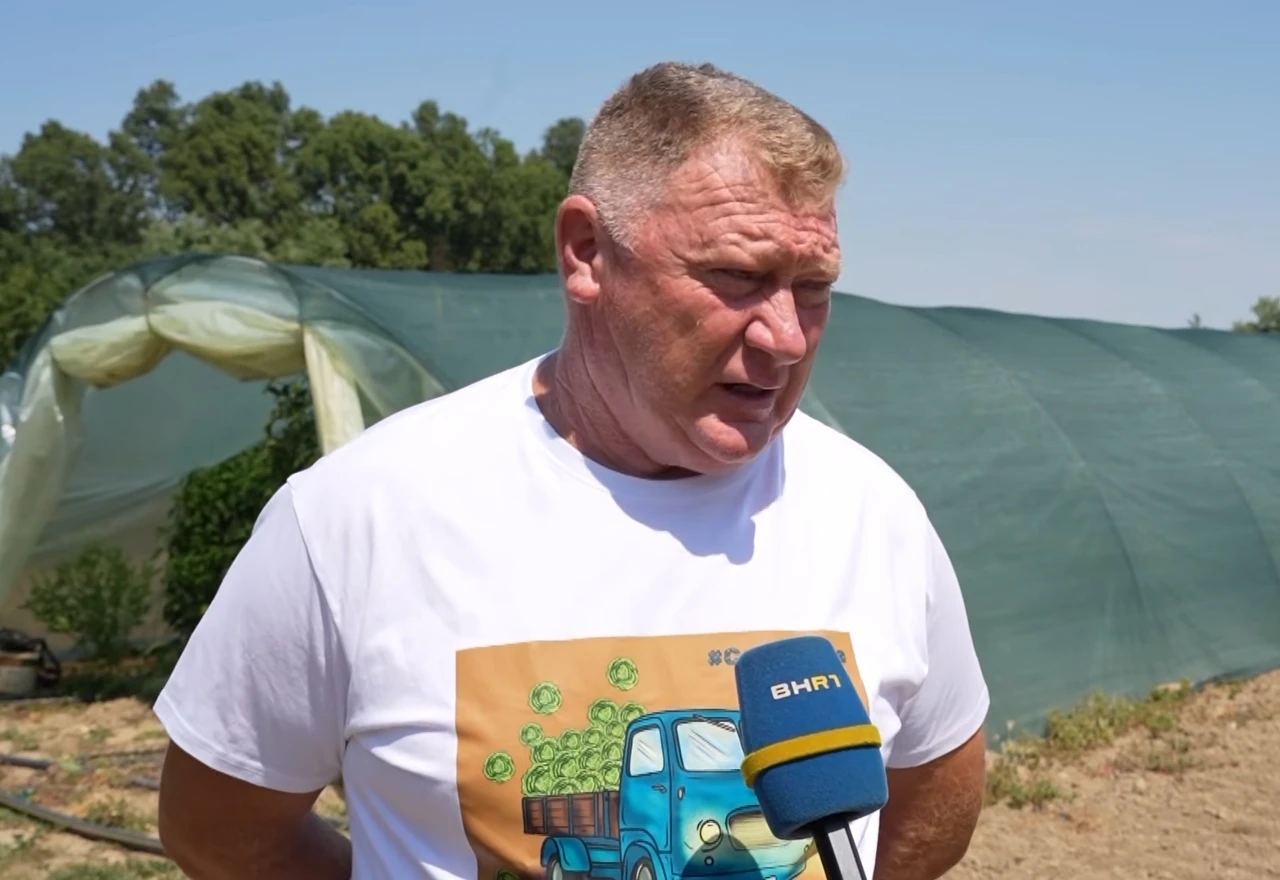 VIDEO | Temperature u plastenicima i preko 50°C: "Zemlja je vrela"
