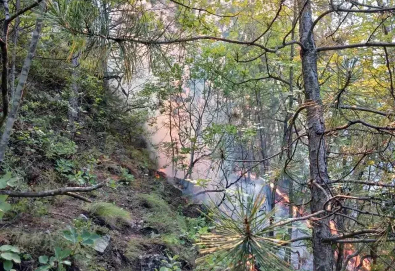 Požar kod Konjica izmaknuo kontroli: Kriva je iskra od vlaka?