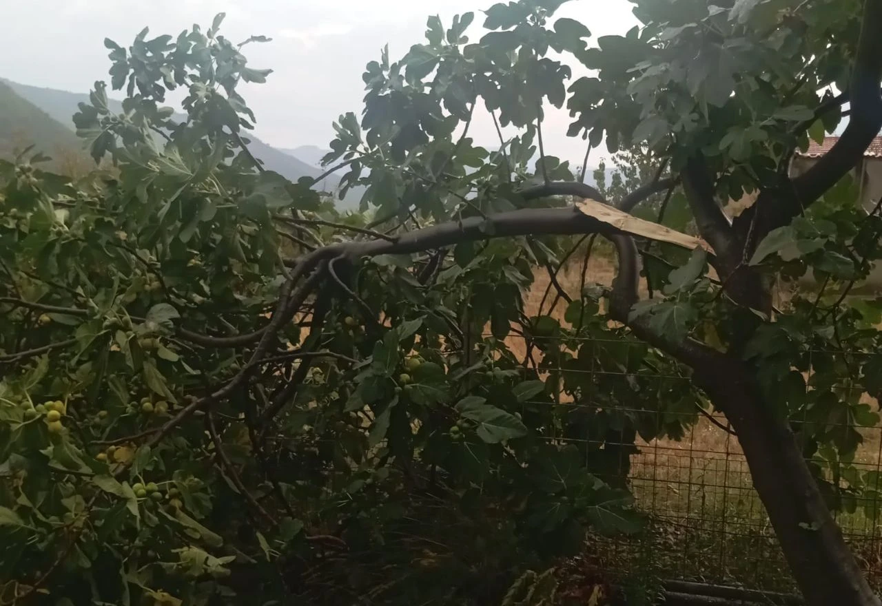 Hercegovinu osvježila kiša, okolicu Mostara pogodilo nevrijeme