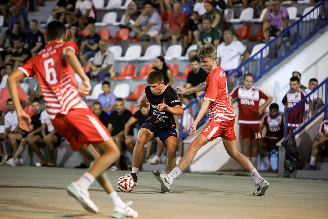 Liga mjesnih zajednica Grada Mostara