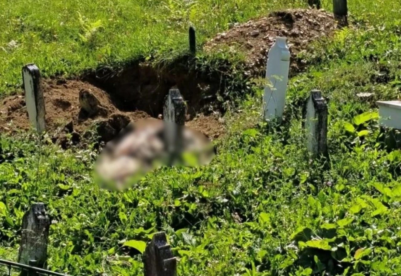 Travnik: Medvjed raskopao grob