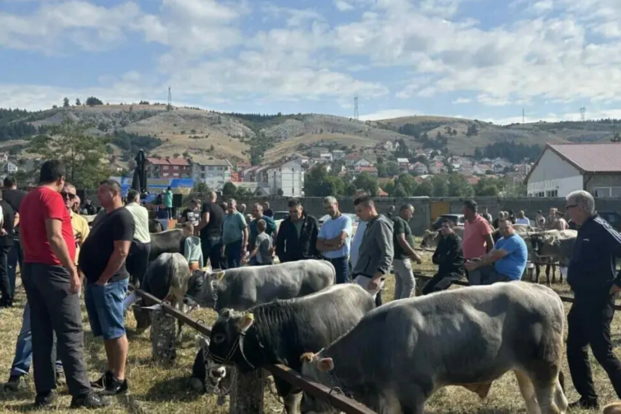 Hercegovački stočari narednog vikenda "sele" u Gacko