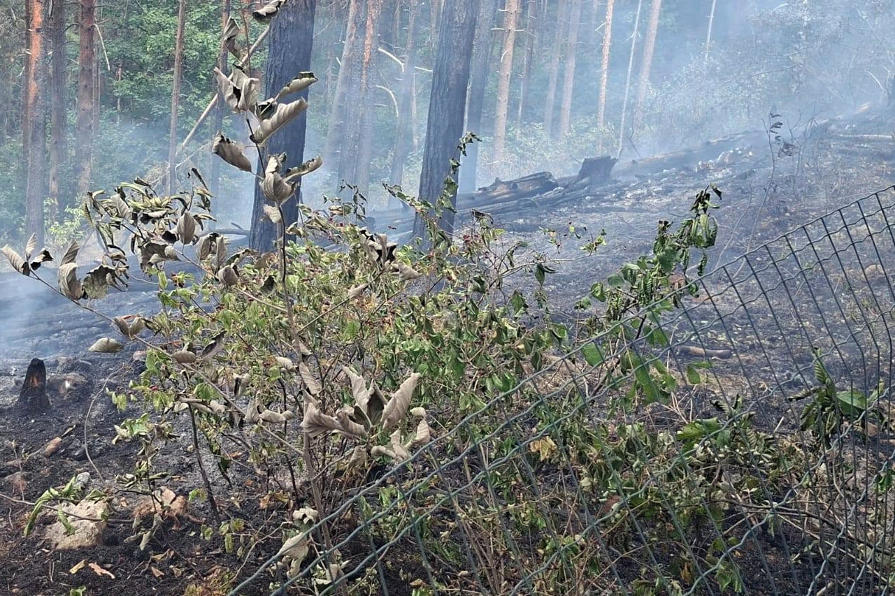 Na Vran planini spriječena katastrofa uzrokovana ljudskom bahatošću