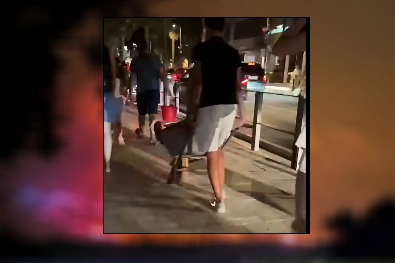 VIDEO | Pogledajte kako je unuk spašavao baku od požara u Omišu