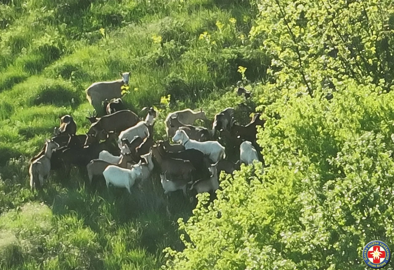 Protjerali su ih jer su navodno pustošili šume, a bez njih su šume uništili požari