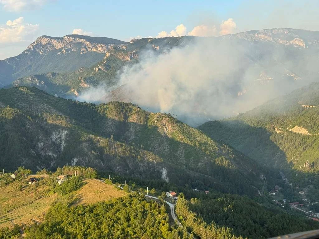 Borba s vatrom u Grahovu