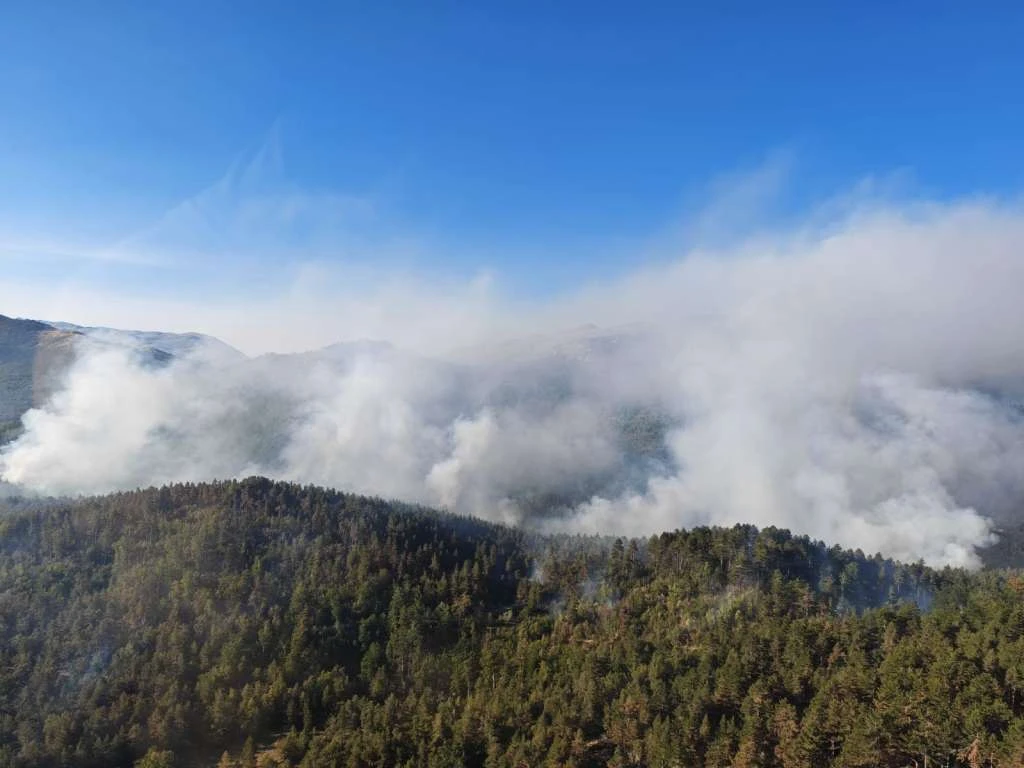 Požar na Risovcu još nije ugašen, u pomoć stigli kanaderi iz Hrvatske