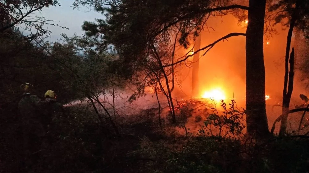 Srbija: U požaru poginuo muškarac, aktivno 45 požara na otvorenom