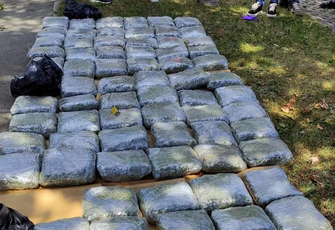 U akciji "Transporter" zaplijenjena 73 kilograma marihuane