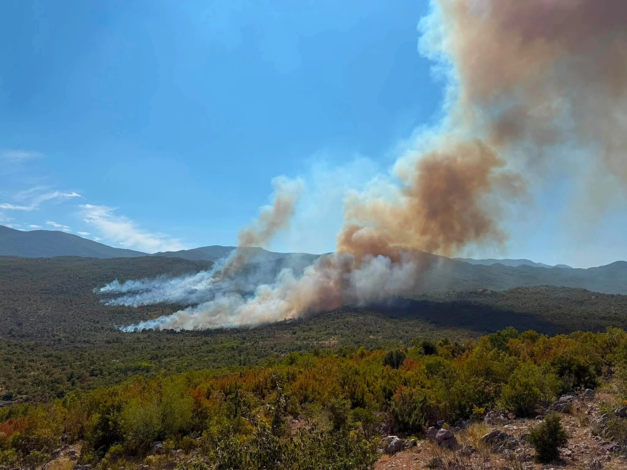 FOTO | Veliki požar kod Gruda ide prema Hrvatskoj