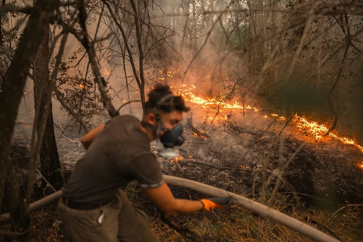 VIDEO | Požar u Srbiji zaprijetio selu: Ljudi bježe od vatre