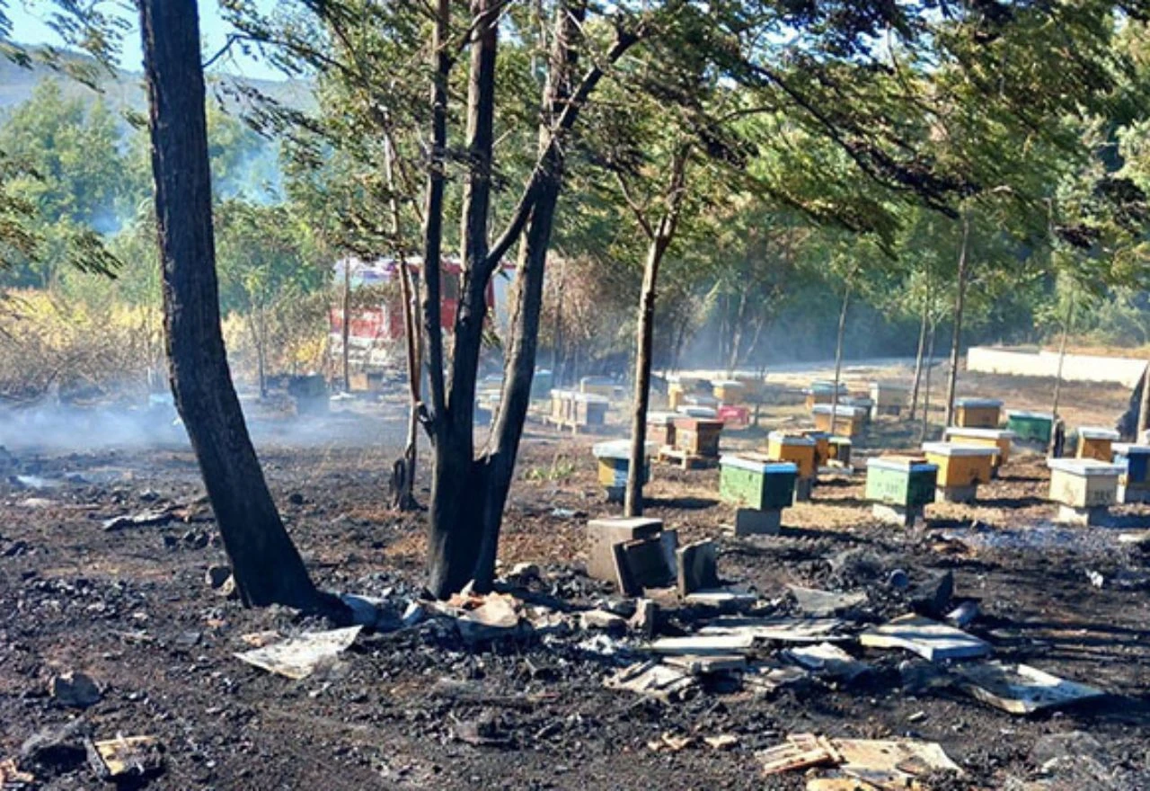 FOTO | U požaru kod Graba izgorio pčelinjak, stradale 43 pčelinje zajednice