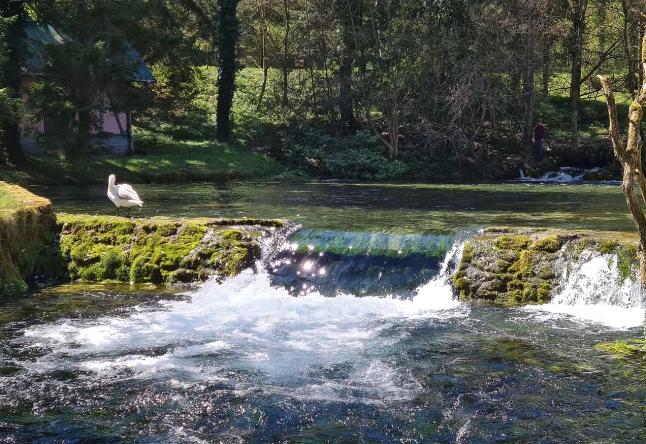 I Vrelo Bosne zagađeno fekalijama: Tko štiti izvorišta i pitku vodu?