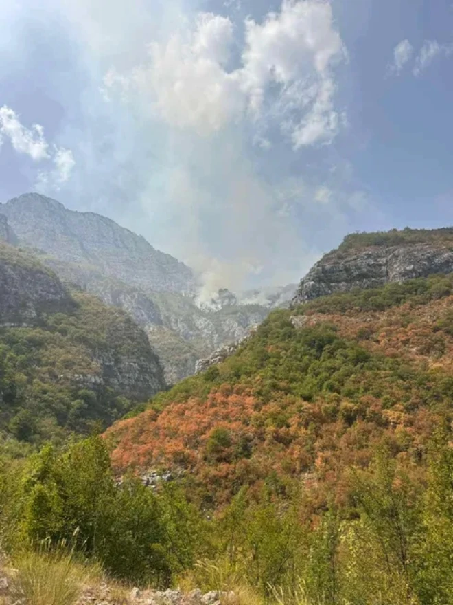 Požar na Čabulji