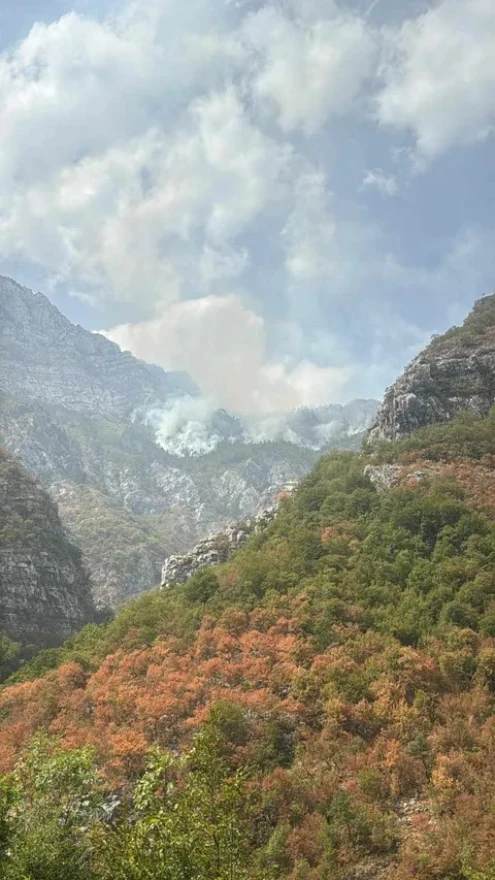 Požar u Drežnici ugasila kiša