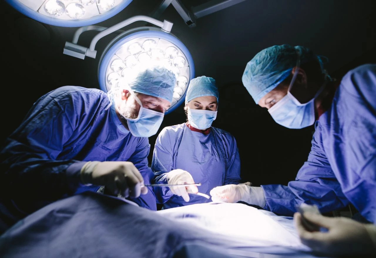 Transplantirani svinjski bubreg funkcionirao u čovjeku čak 271 dan