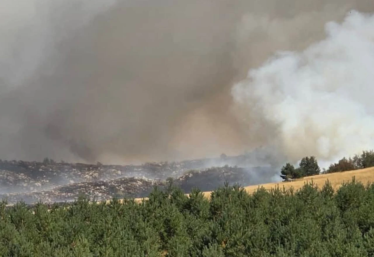VIDEO | Požar na Ljubuši i dalje aktivan, vatra se proširila na veliku šumu
