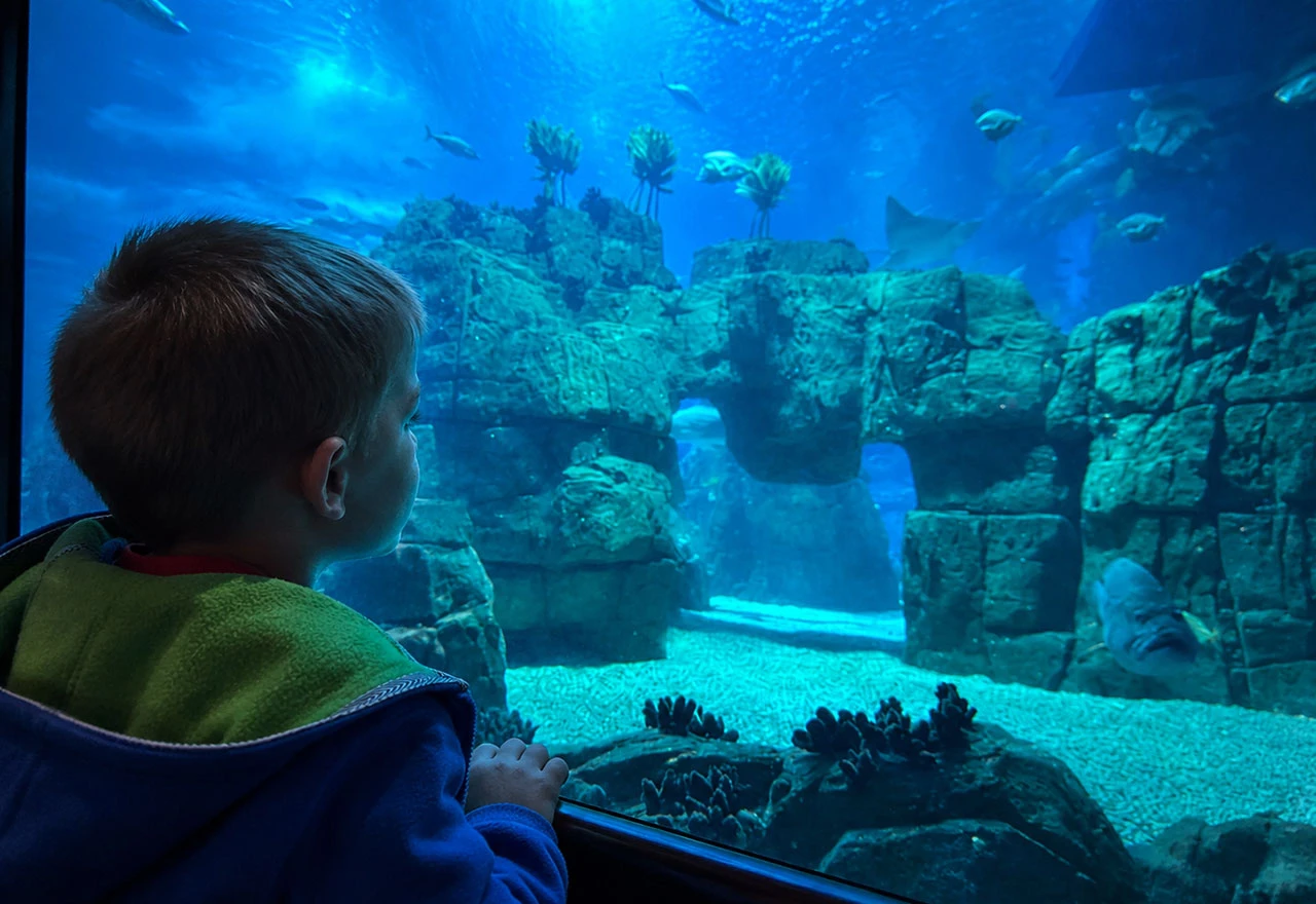 Ušli smo u Oceanário de Lisboa i izgubili pojam o vremenu: Podvodni svijet koji vrijedi posjetiti