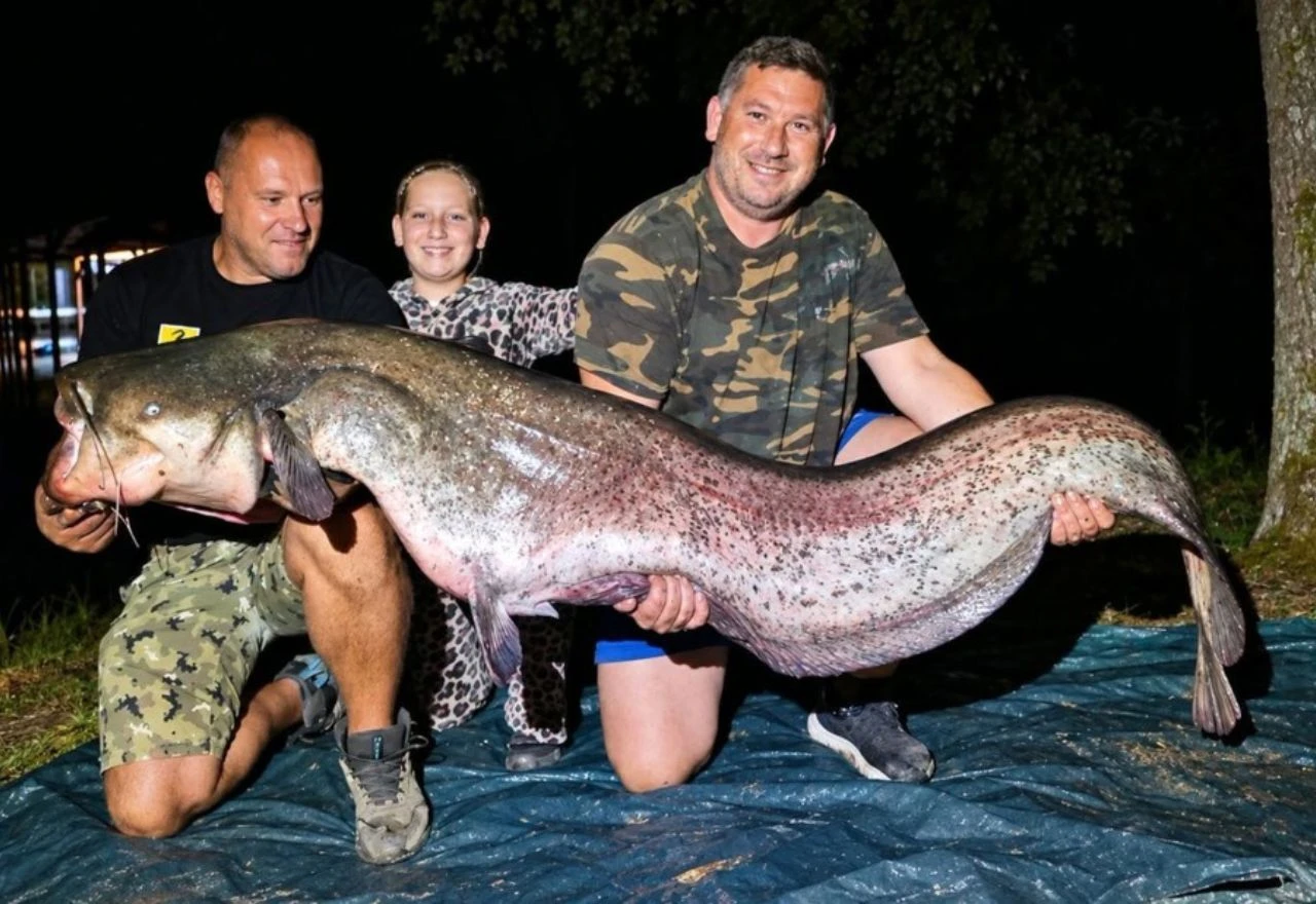 Saša i Nenad ulovili soma dugog 225 centimetara
