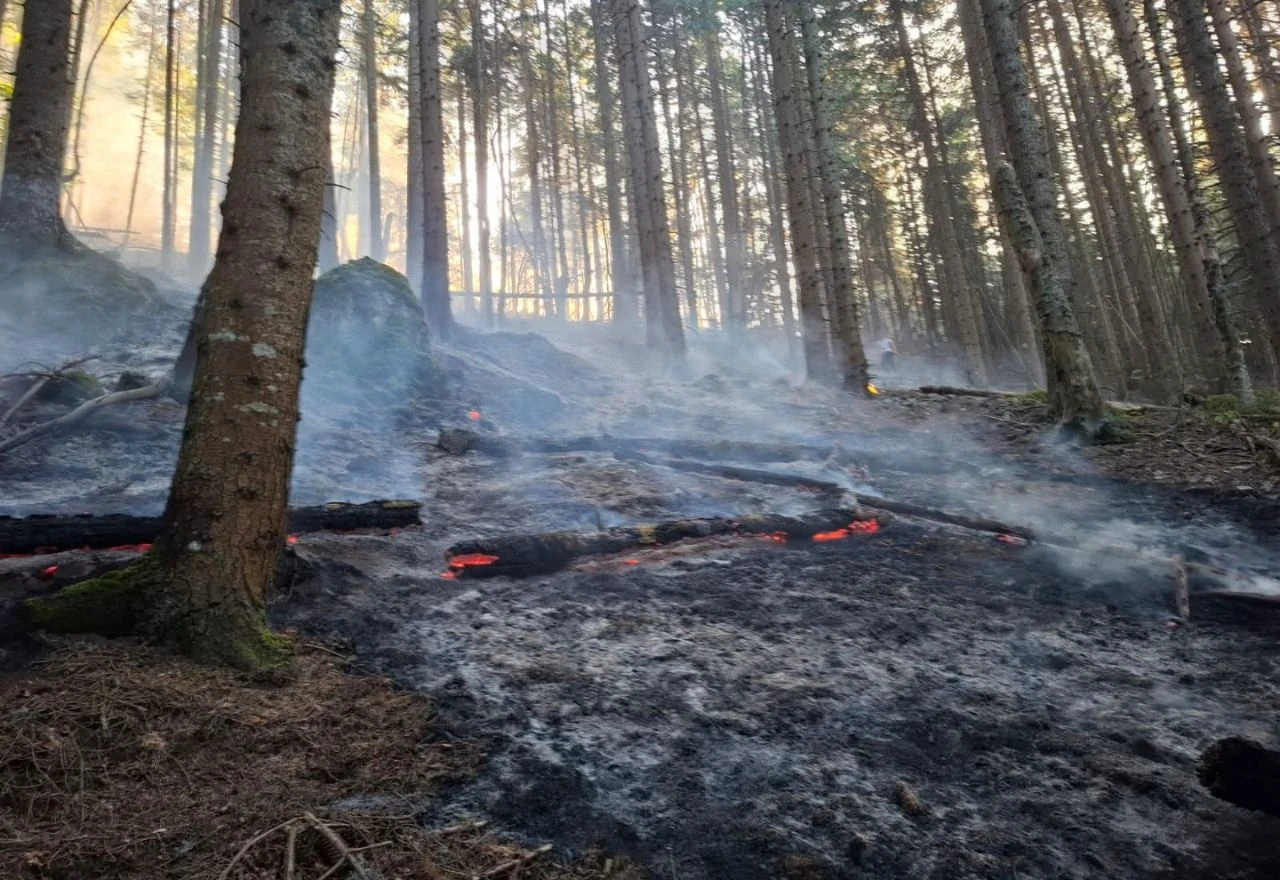 FOTO/VIDEO | Požar u Rami iz prve ruke